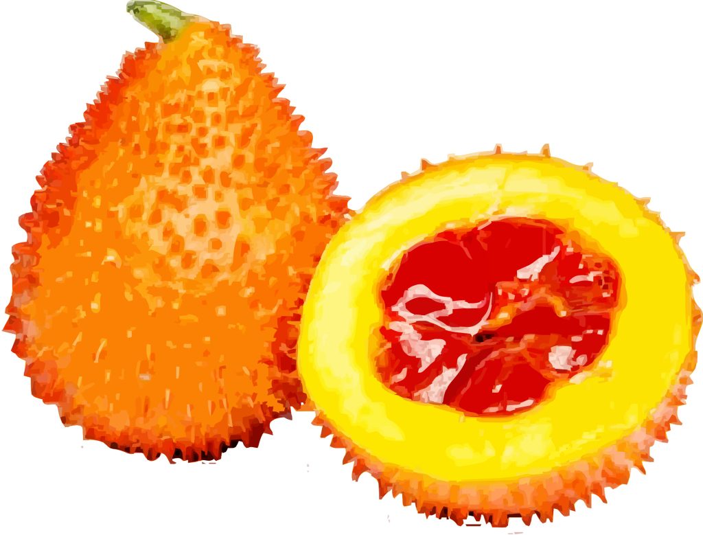 Buah GAC FIX Copy 1024x779